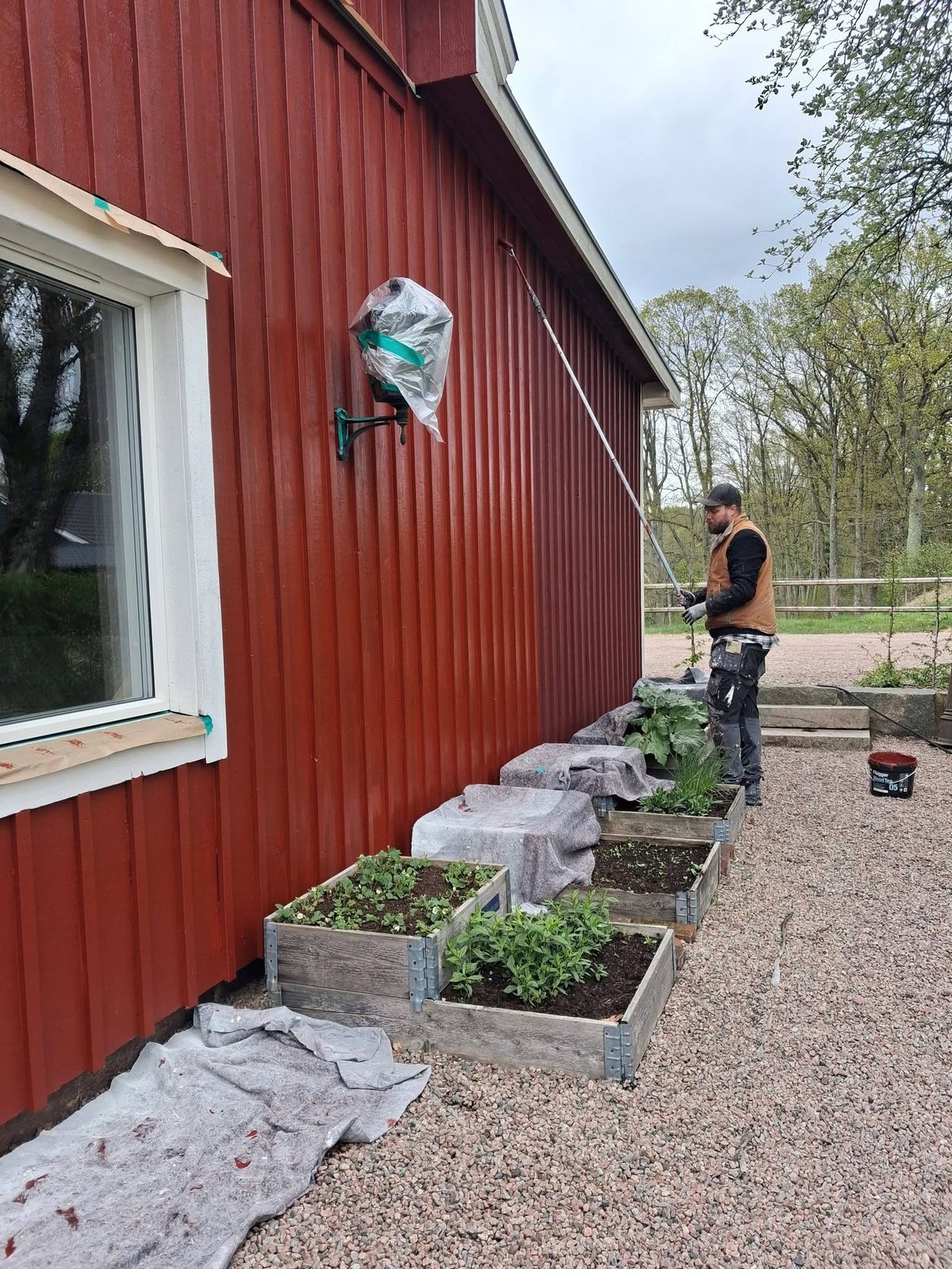 Målning av röd träfasad pågår